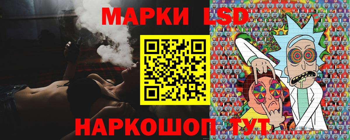 Псилоцибиновые грибы Кострома