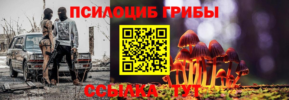 Псилоцибиновые грибы ЛСД Кострома